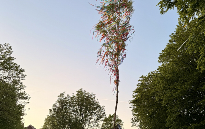 Maibaum auf Marktplatz