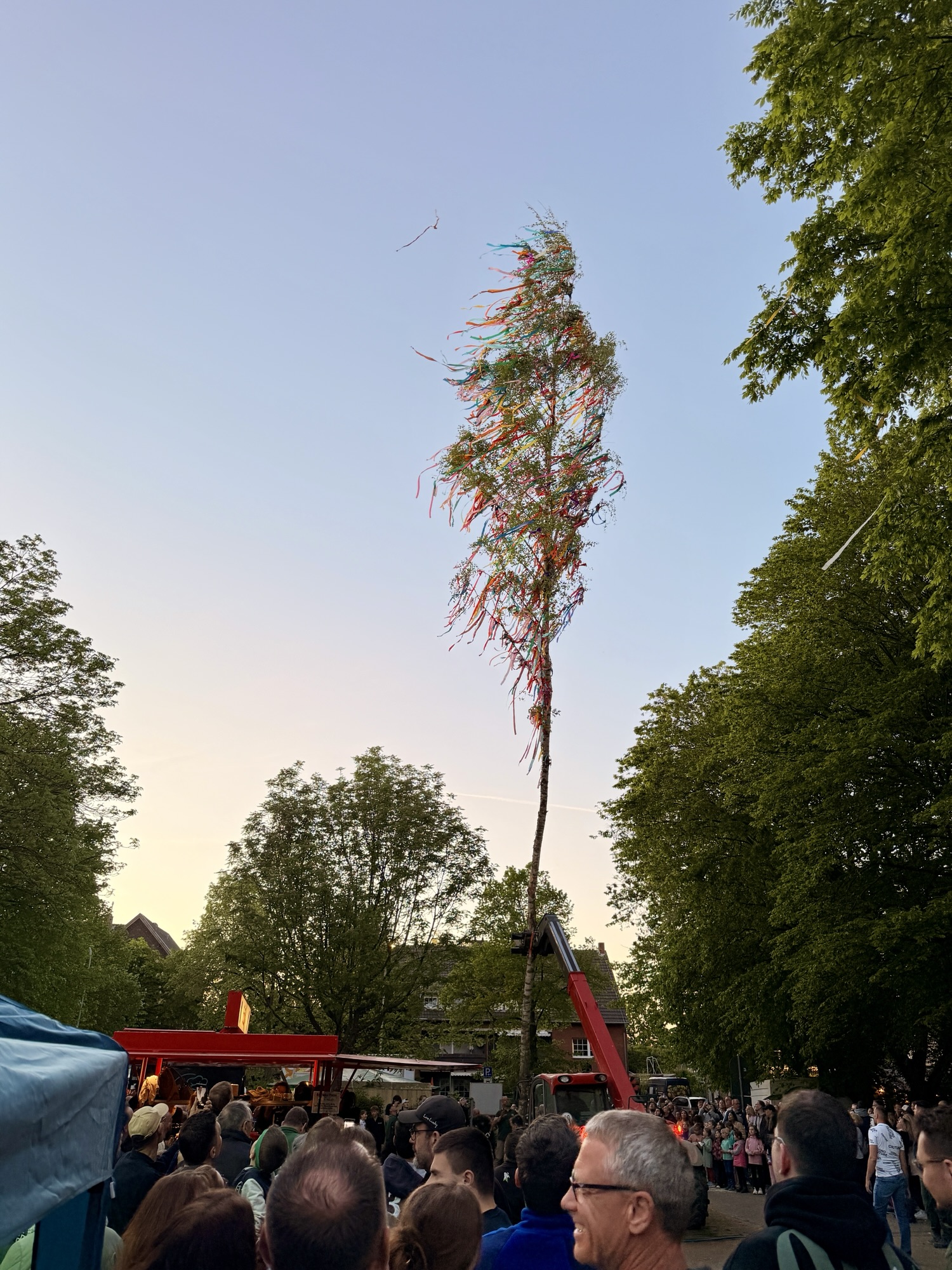 Maibaum auf Marktplatz